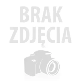 GUN SOLVENT SPRAY DO CZYSZCZENIA BRONI 200ml