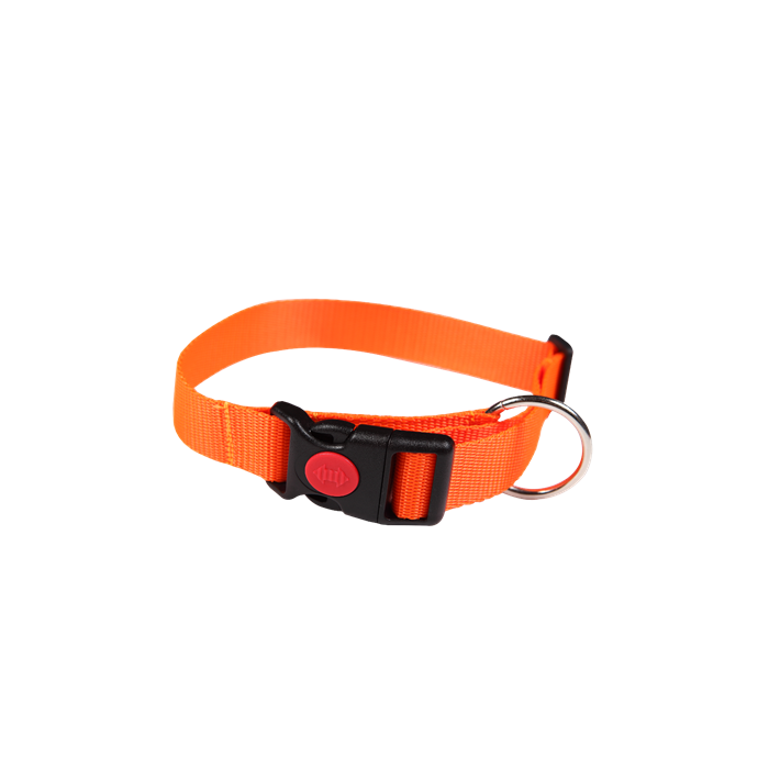 Obroża FOREST z bezpiecznikiem