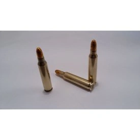 AMUNICJA TRENINGOWA / ZBIJAK - 223 rem.