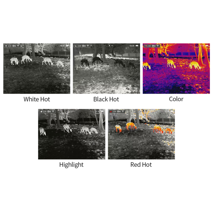 Monokular termowizyjny Infiray AP13