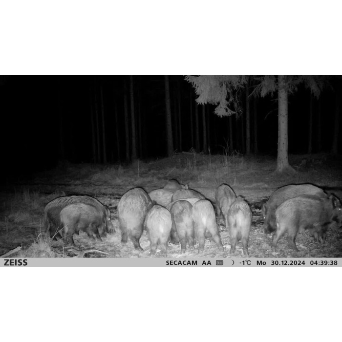 Fotopułapka Zeiss Secacam 3