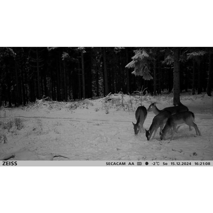 Fotopułapka Zeiss Secacam 3