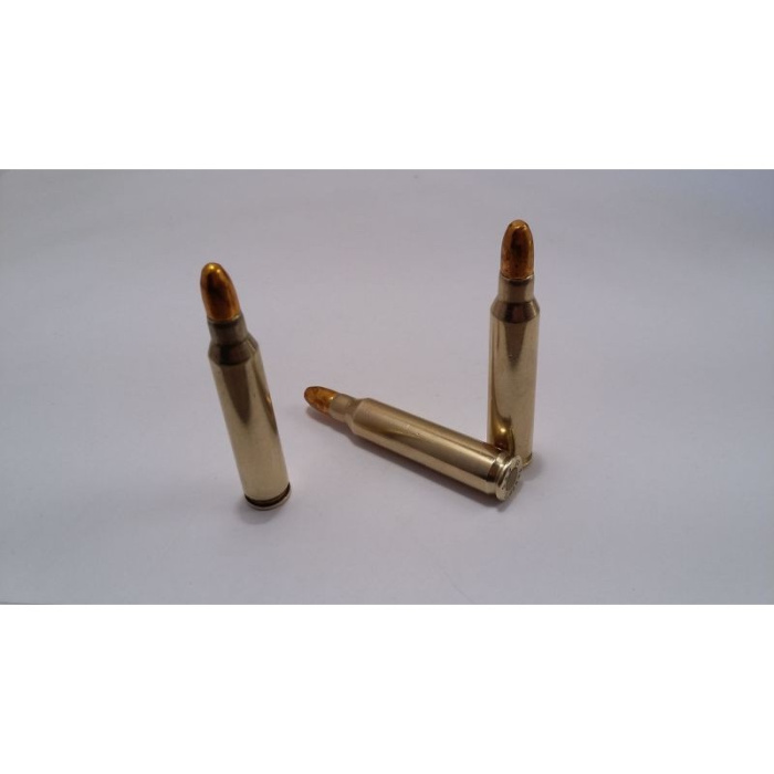 AMUNICJA TRENINGOWA / ZBIJAK - 223 rem.