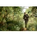 Kurtka HARKILA Fjell Ace - Willow green (109160029)