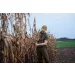 Koszulka HARKILA - Wildboar Logo S/S - Forest Night (112800076)