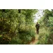 Spodnie HARKILA Fjell Ace - Willow green (117380029)