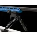 Karabin VICTRIX Montion 22