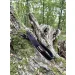 Pas skórzany NOBIL HUNTING Curea Lux + 2 sloty na naboje - Brązowy
