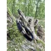 Pas skórzany NOBIL HUNTING Curea Lux + 3 sloty na naboje - Brązowy